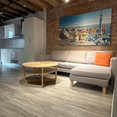 Barcelona Classic Gracia Apartments-2